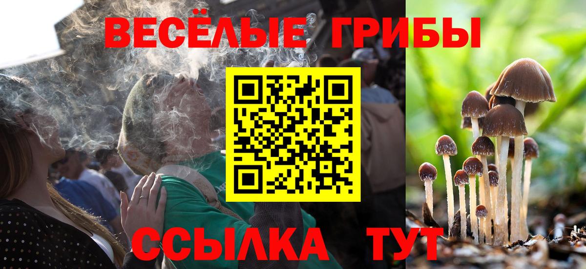 Псилоцибиновые грибы Psilocybe  Псилоцибиновые грибы MAGIC MUSHROOMS  Вход с VPN  Прокопьевск 